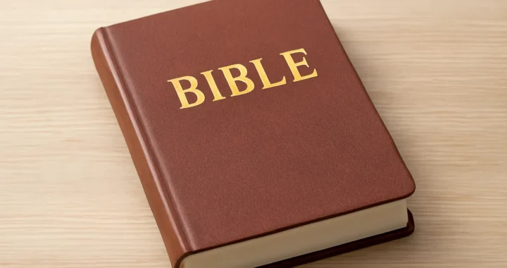 Bibel moderne Übersetzung: Welche Version passt am besten?