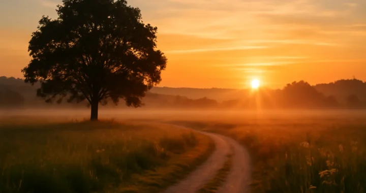 Psalm 91 german – Bedeutung, Verse und Auslegung