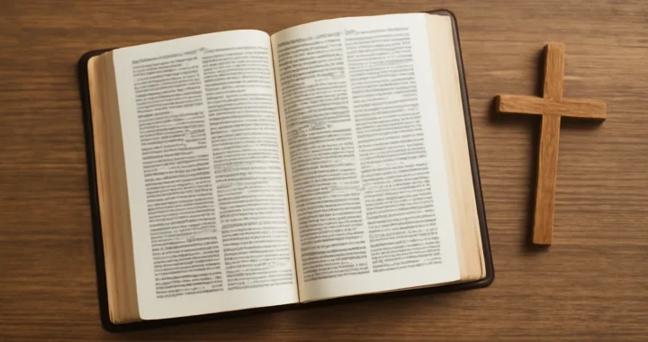 Was steht in der Bibel: Eine verständliche Übersicht über Inhalte, Geschichten und Lehren